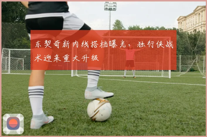 东契奇新内线搭档曝光，独行侠战术迎来重大升级